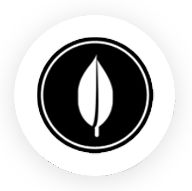 mongodb-logo