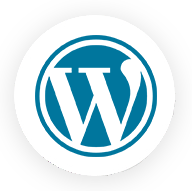 wordpress-fi-1